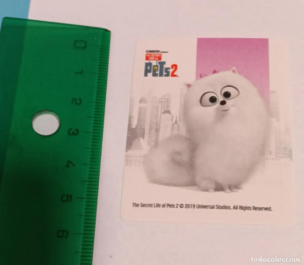 Sammlung von Aufklebern: kinder cromo pegatina chocolate pets mascotas pelicula dreamworks sticker gato