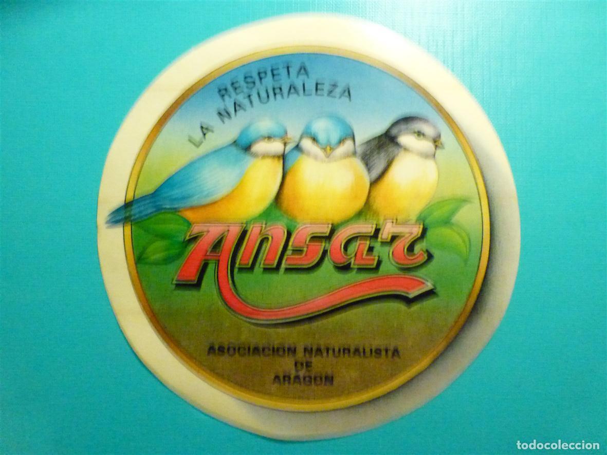 Pegatinas de colecci&oacute;n: Pegatina - Adhesivo - Ansar - Asociaci&oacute;n Naturalista de Arag&oacute;n - Respeta Naturaleza - Aves, 14 cm.