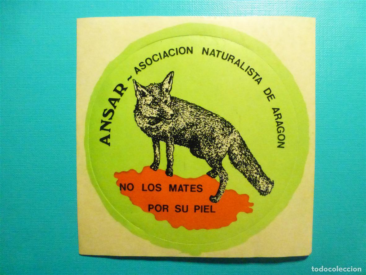 Pegatinas de colecci&oacute;n: Pegatina - Adhesivo - Ansar - Asociaci&oacute;n Naturalista de Arag&oacute;n - No los mates - Zorros - 11 x 11 cm.