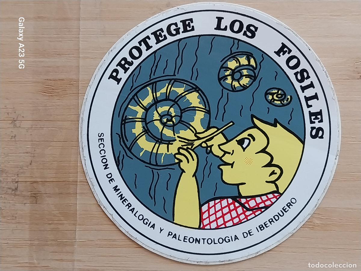 Pegatinas de colecci&oacute;n: PROTEGE LOS F&Oacute;SILES MINERALOGIA PALEONTOLOGIA IBERDUERO PEGATINA 8.5 CMS ORIGINAL SIN PEGAR NUNCA