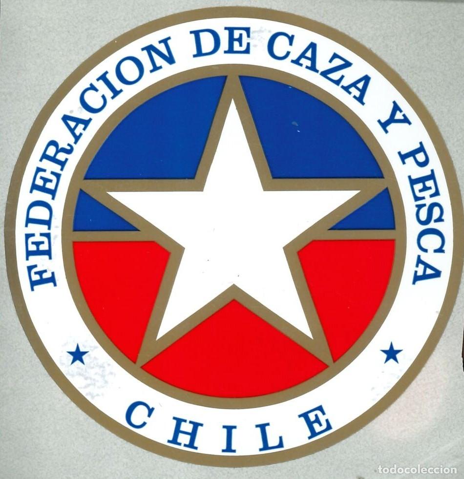 Pegatinas de colecci&oacute;n: PEGATINA - ADHESIVO - EXTRANJERAS - CHILE - FEDERACION DE CAZA Y PESCA