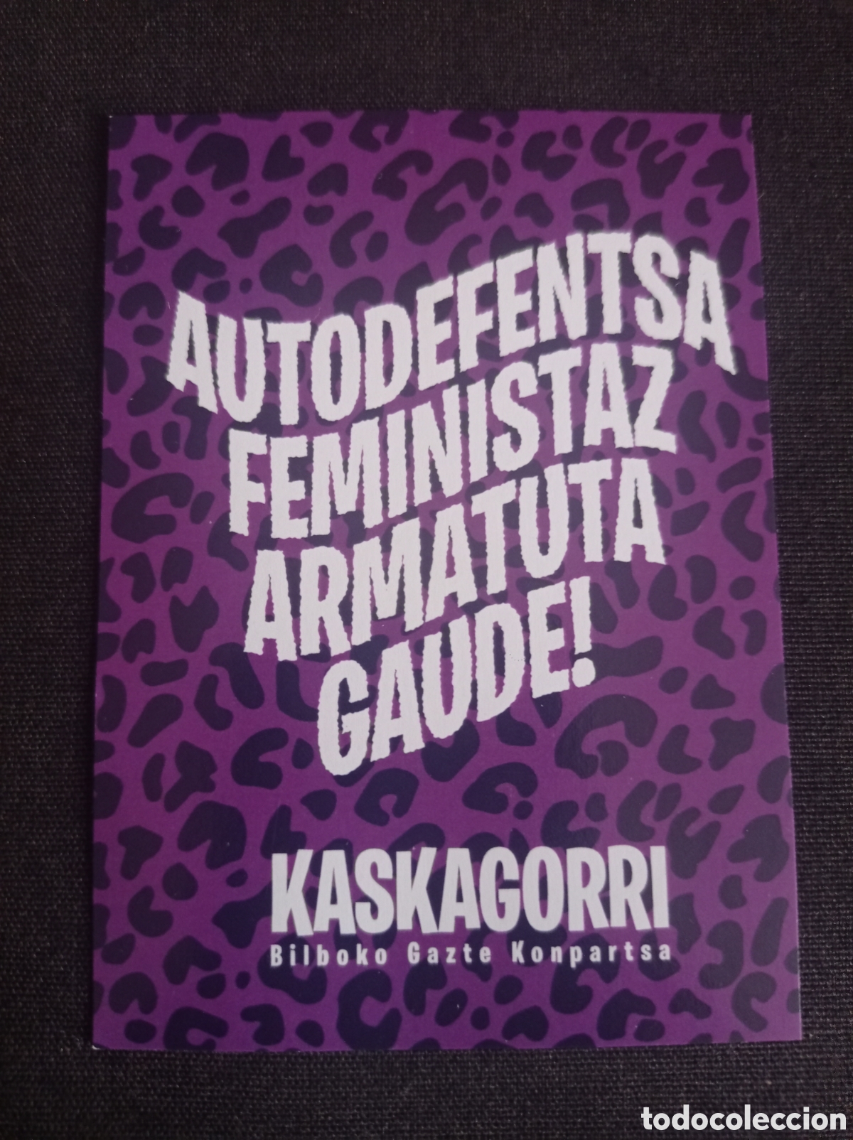 Pegatinas de colecci&oacute;n: Pegatinas pol&iacute;ticas autodefensa femenina
