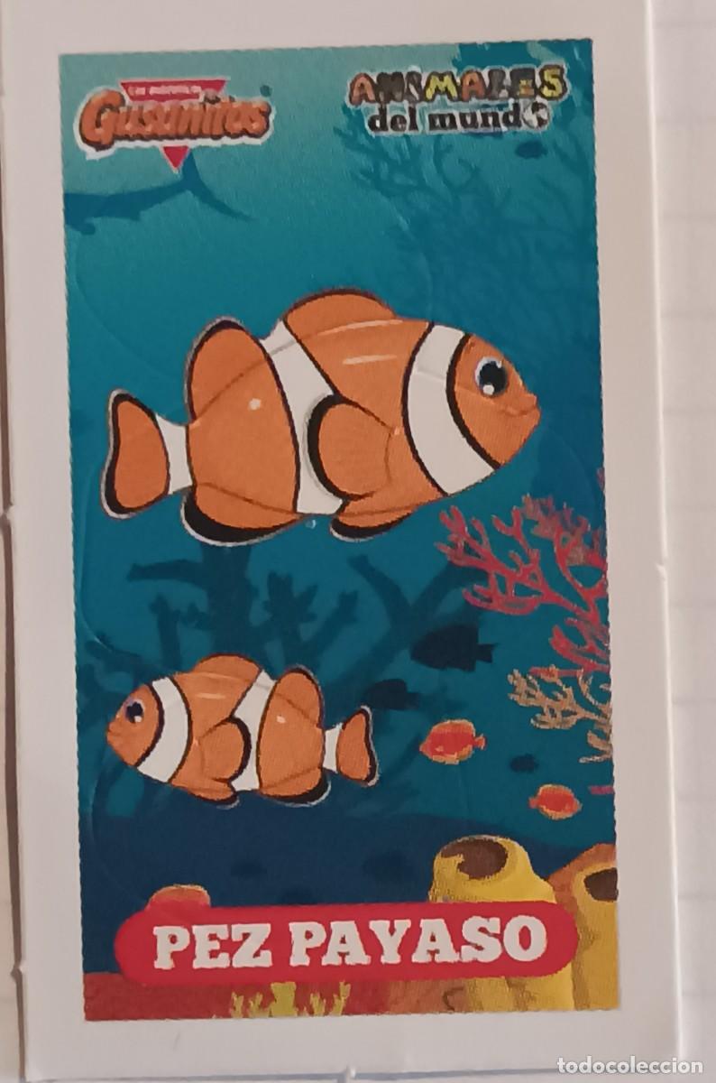 Pegatinas de colecci&oacute;n: pegatina PEZ PAYASO (GUSANITOS )animales del mundo