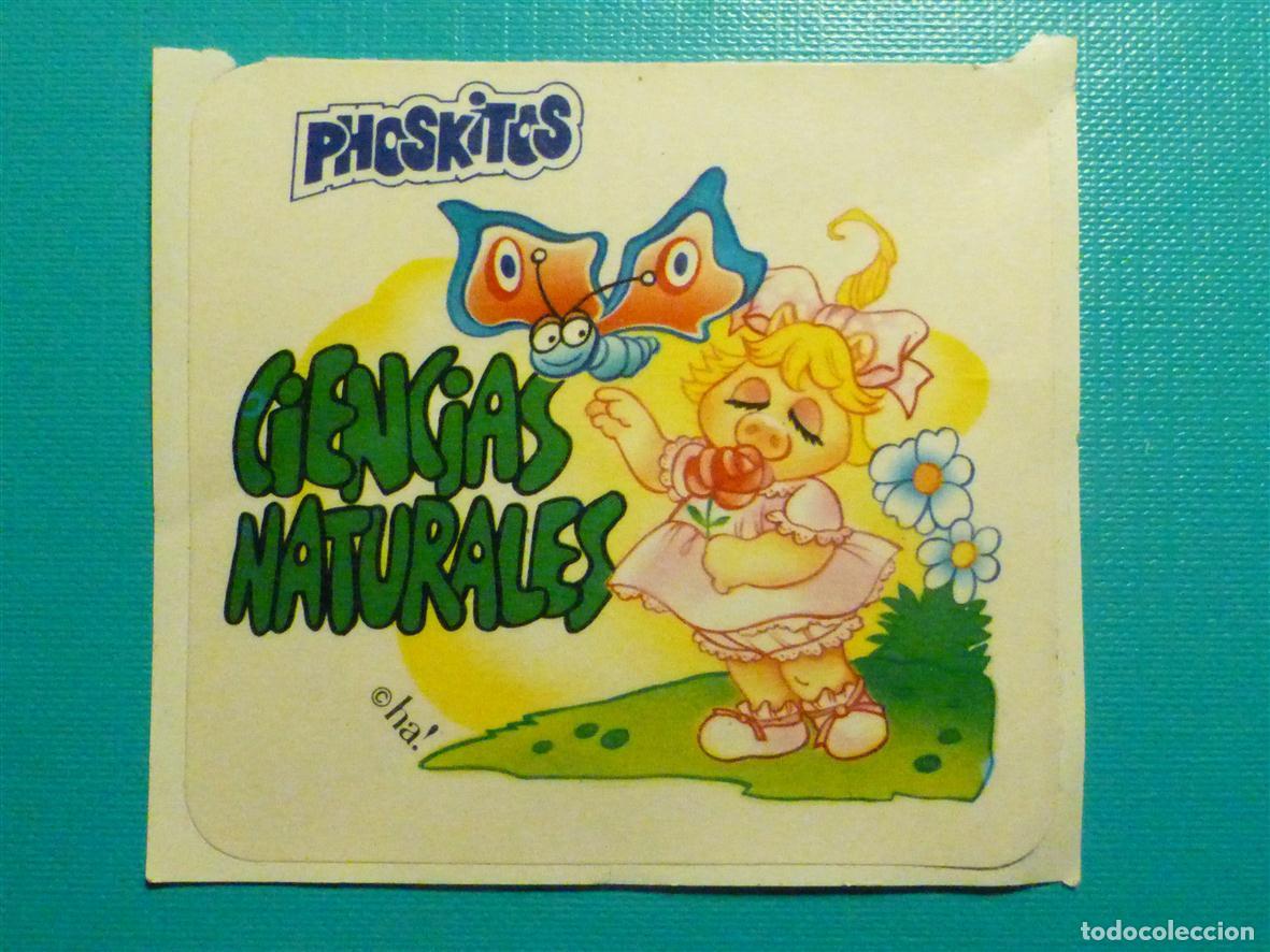 Sammlung von Aufklebern: Cromo Bollos Pastelitos Phoskitos - Ciencias Naturales - Peque&ntilde;ecos n&deg; 28 - 7,5 x 6,5 cm.