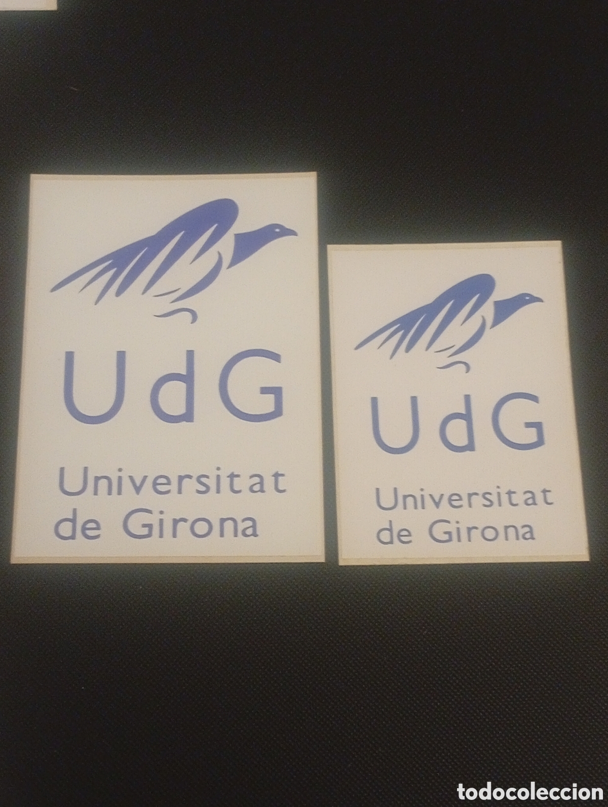 Autocollants de collection: LOTE 2 PEGATINA ADHESIVO UDG UNIVERSITAT GIRONA UNIVERSIDAD GERONA CATALU&Ntilde;A CATALUNYA