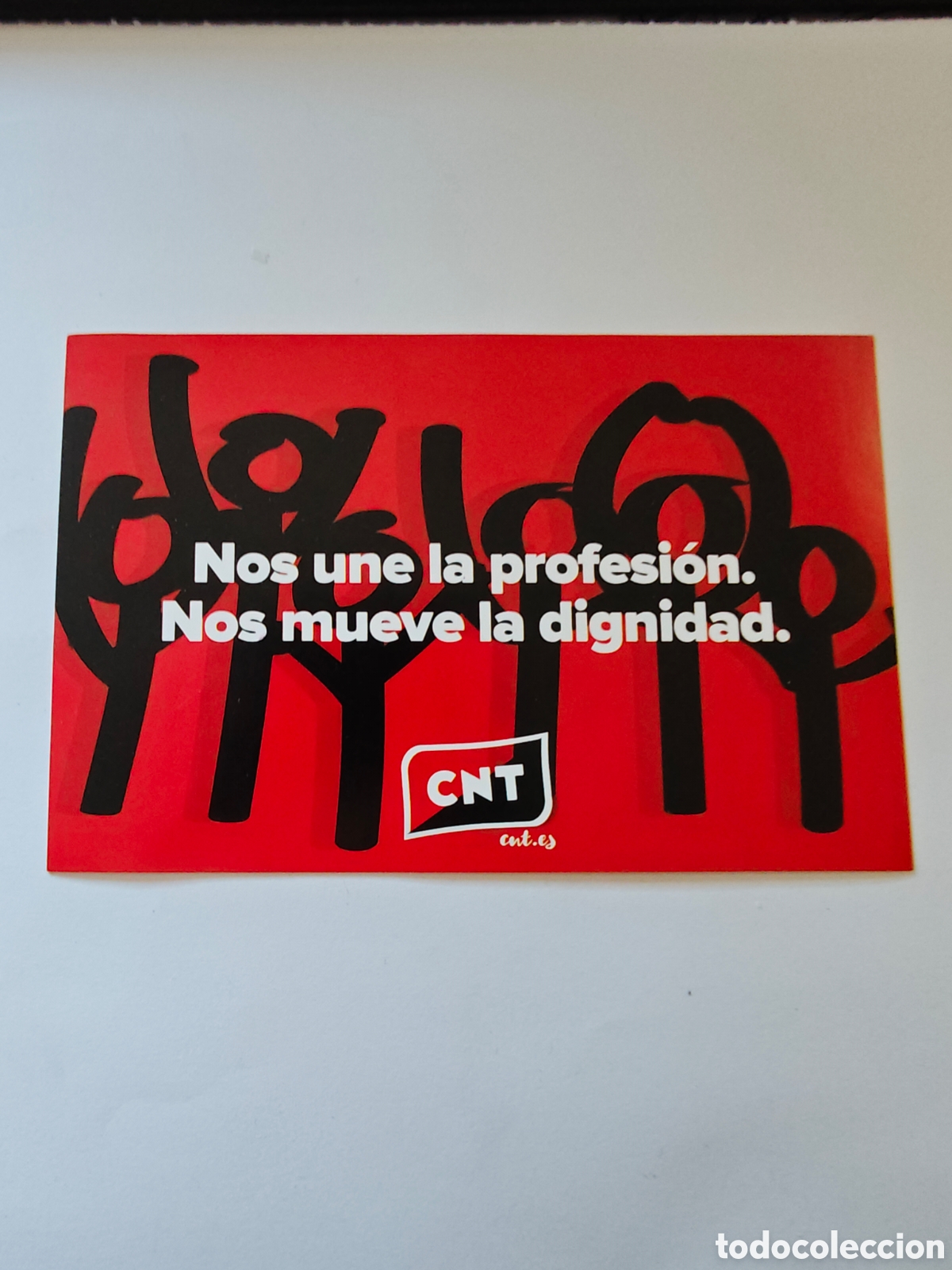 Pegatinas de colecci&oacute;n: pegatina de la CNT - tdk14p - Foto 1