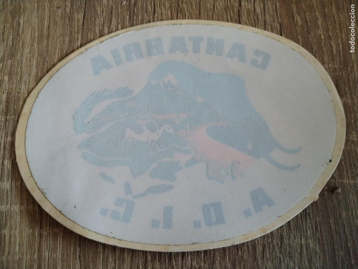 Pegatinas de colecci&oacute;n: A.D.I.C.- Cantabria- asociaci&oacute;n de defensa de los intereses de Cantabria- pegatina de interior