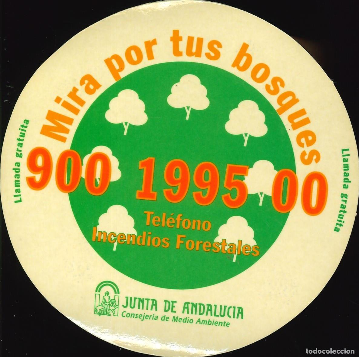 Pegatinas de colecci&oacute;n: PEGATINA - ADHESIVO - MEDIO AMBIENTE - MIRA POR TUS BOSQUES - JUNTA DE ANDALUCIA