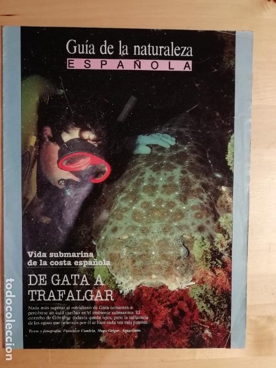 Collezionismo di Peri&oacute;dico El Pa&iacute;s: Gu&iacute;a de la naturaleza espa&ntilde;ola Vida submarina de la costa espa&ntilde;ola De Gata a Trafalga