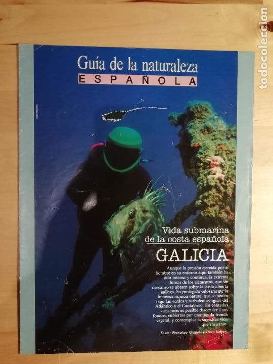 Collezionismo di Peri&oacute;dico El Pa&iacute;s: Gu&iacute;a de la naturaleza espa&ntilde;ola Vida submarina de la costa espa&ntilde;ola Galicia