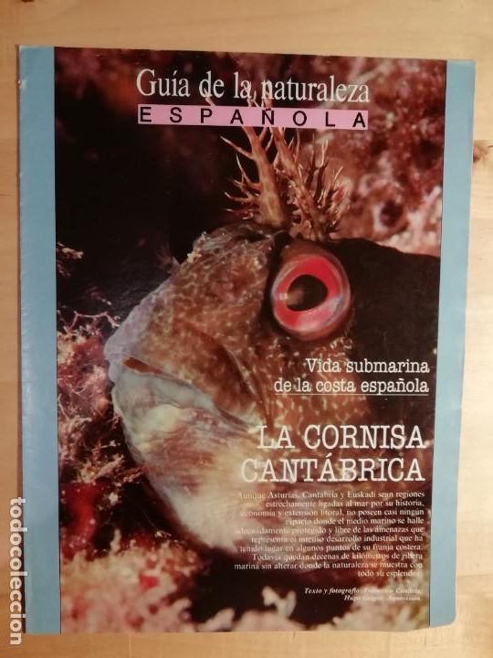 Collezionismo di Peri&oacute;dico El Pa&iacute;s: Gu&iacute;a de la naturaleza espa&ntilde;ola Vida submarina de la costa espa&ntilde;ola La cornisa cant&aacute;brica