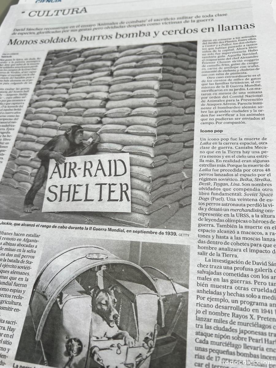 Colecionismo do Jornal El Pa&iacute;s: DEFENSA DE LOS ANIMALES. ANIMALISMO. ANIMALES DE COBATE. PRUEBAS MILITARES Y DE SALUD. LAIKA. JACKIE