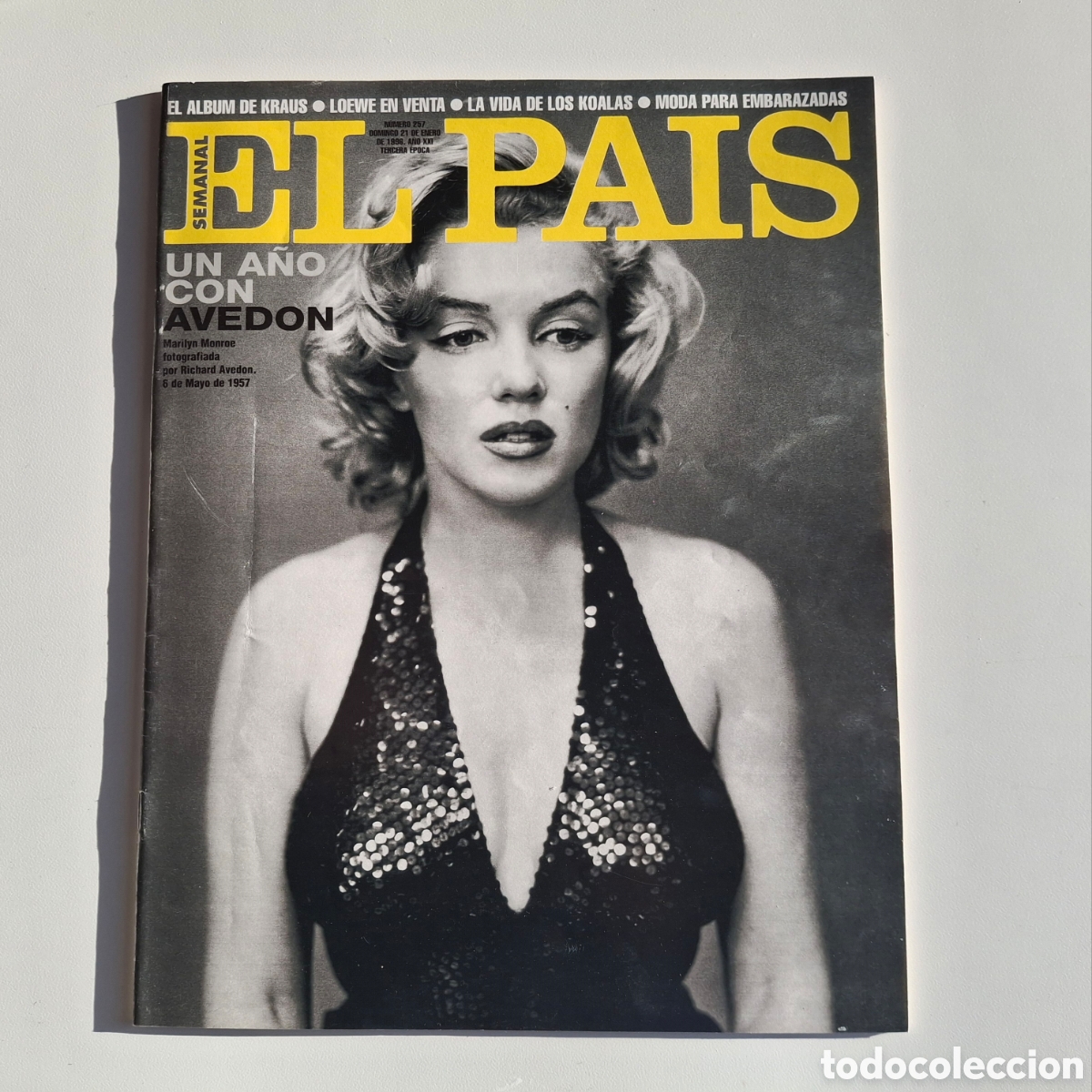 Coleccionismo de Peri&oacute;dico El Pa&iacute;s: EL PA&Iacute;S SEMANAL 257, AVEDON, KRAUS, LOEWE