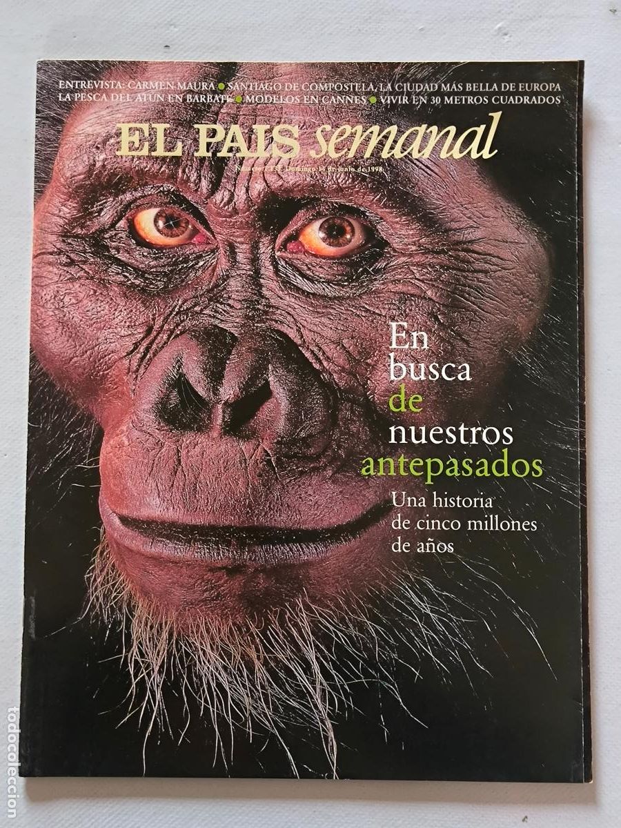 Coleccionismo de Peri&oacute;dico El Pa&iacute;s: EL PAIS SEMANAL N&ordm; 1133 - 14 DE JUNIO 1998 - EN BUSCA DE NUESTROS ANTEPASADOS (368)