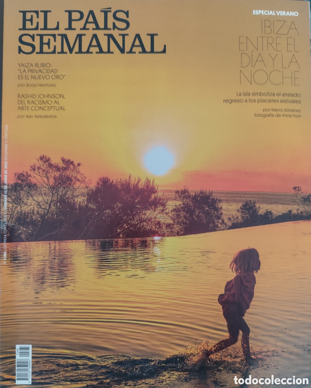 Coleccionismo de Peri&oacute;dico El Pa&iacute;s: REVISTA EL PAIS SEMANAL. RASHID JOHNSON.