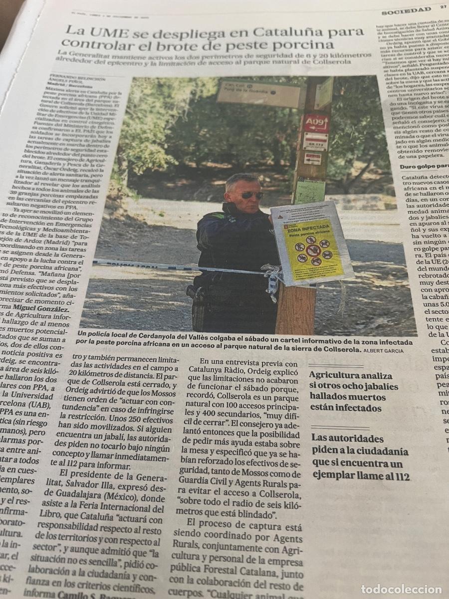 Coleccionismo de peri&oacute;dico El Pa&iacute;s: Dossier hemeroteca prensa sobre PESTE PORCINA