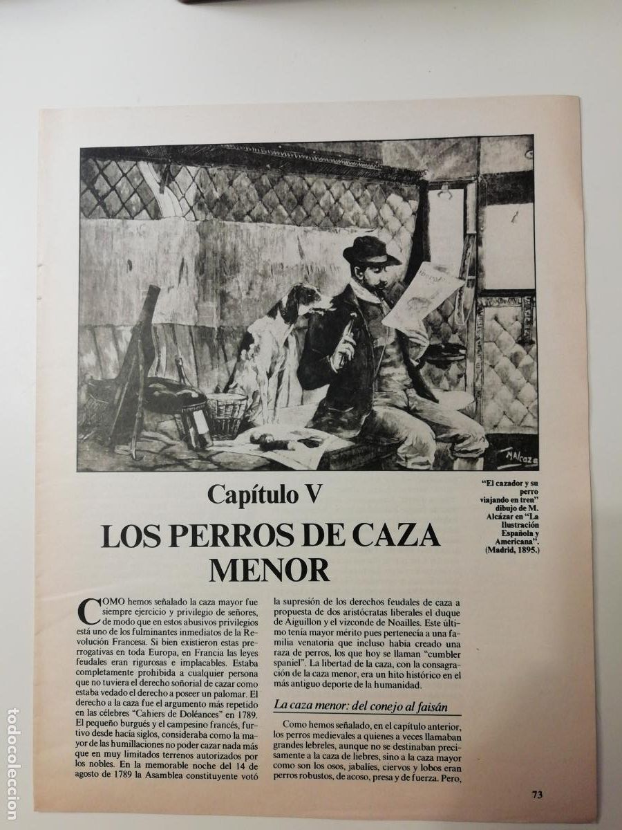 Collectionnisme Journal La Vanguardia: Coleccionable Los animales de compa&ntilde;&iacute;a Historias de perros gatos y loros 5 Biblioteca La Vanguardia