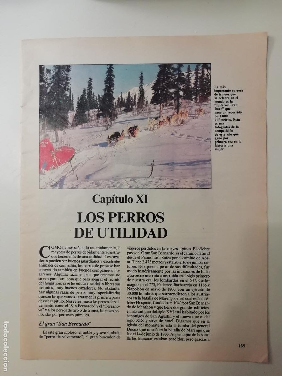 Collectionnisme Journal La Vanguardia: Coleccionable Los animales de compa&ntilde;&iacute;a Historias de perros gatos y loros 11 Biblioteca La Vanguardia