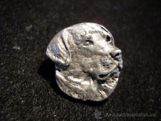 Pins de colecci&oacute;n: pin....... labrador golden