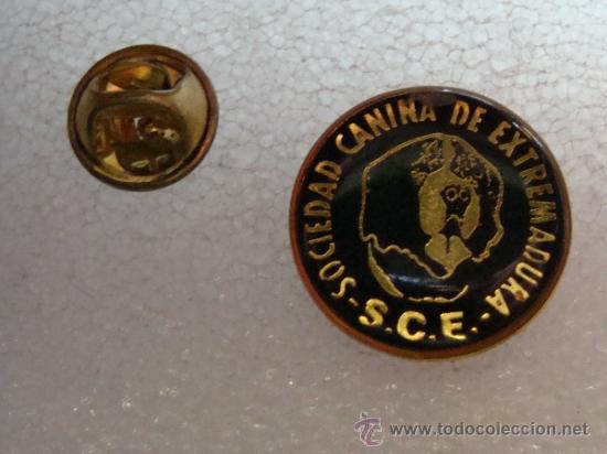Pins de cole&ccedil;&atilde;o: PIN DE LA SOCIEDAD CANINA DE EXTREMADURA. PERRO PERROS.