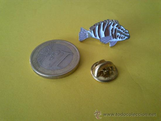 Pins de cole&ccedil;&atilde;o: Pin De La Colecci&oacute;n Fauna Dels Paisos Catalans, Es El Pez Vaca Serrana (Serrano).