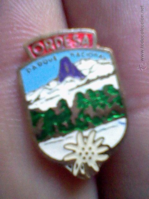Collection pins: INSIGNIA ALFILER IMPERDIBLE PARQUE NACIONAL ORDESA FLOR EDELWEIS  2 CMS