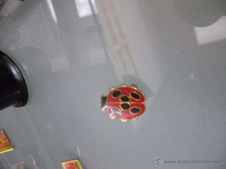 Pins de colecci&oacute;n: Pin mariquita