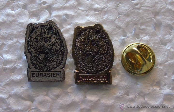 Pins de colecci&oacute;n: 2 PINS DE ANIMALES. PERROS. PERRO EURASIER - Foto 1