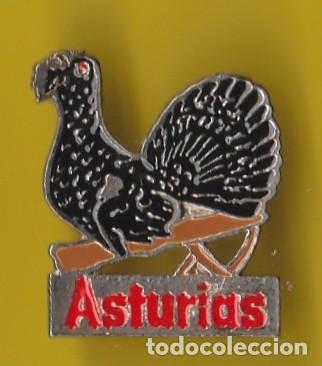 Pin's de collection: PIN - ASTURIAS - UROGALLO  - METAL TROQUELADO RELIEVE Y COLOR
