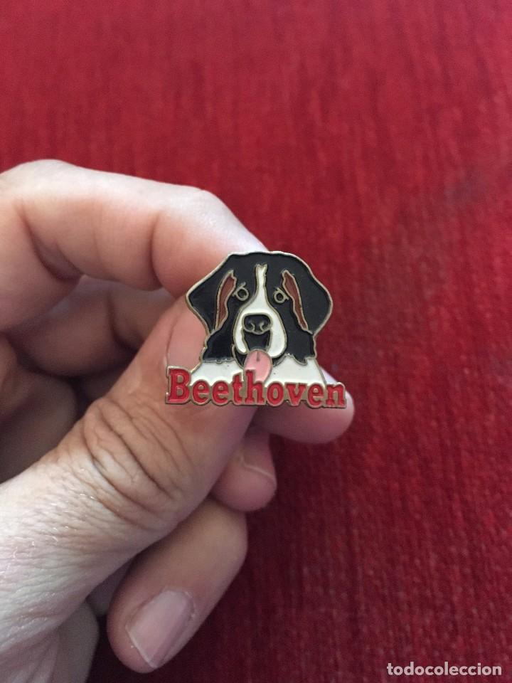 Pins de colecci&oacute;n: PIN CINE PELICULA BEETHOVEN PERRO