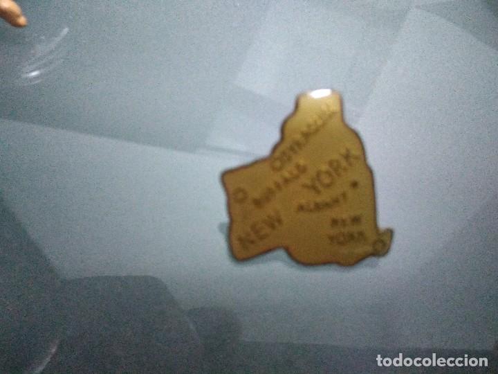 Pins de colecci&oacute;n: Pin estado Nueva York
