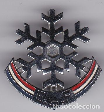 Pins de colecci&oacute;n: ANTIGUO PIN AGUJA DE LA FEDERACION DE ESQUI DE FRANCIA