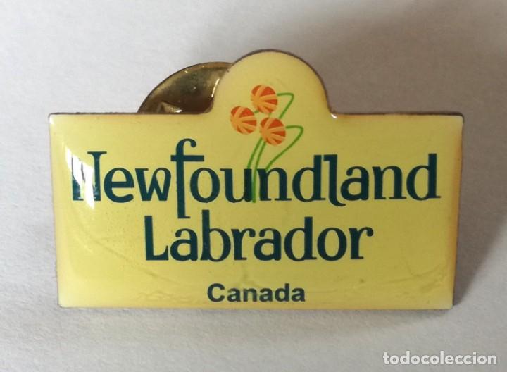 Pins de colecci&oacute;n: PIN CANADA-NEW FOUNDLAND LABRADOR