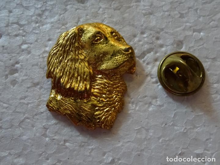 Pins de colecci&oacute;n: PIN DE ANIMALES. PERRO DORADO - Foto 1