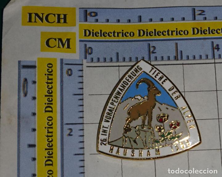 Pins de colecci&oacute;n: INSIGNIA BROCHE DE ALEMANIA. TURISMO DEPORTES. MARCHA ALPINA ALPES. HAUSHAM 1989 CIERVO