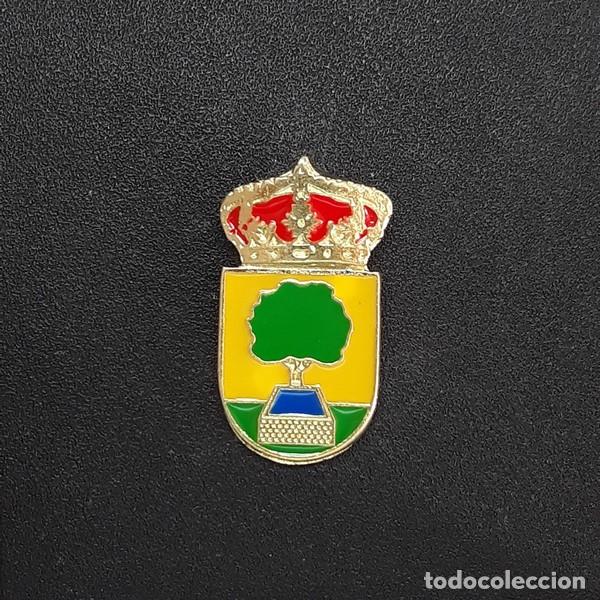 Pins de colecci&oacute;n: pin escudo alberca de z&aacute;ncara (cuenca)