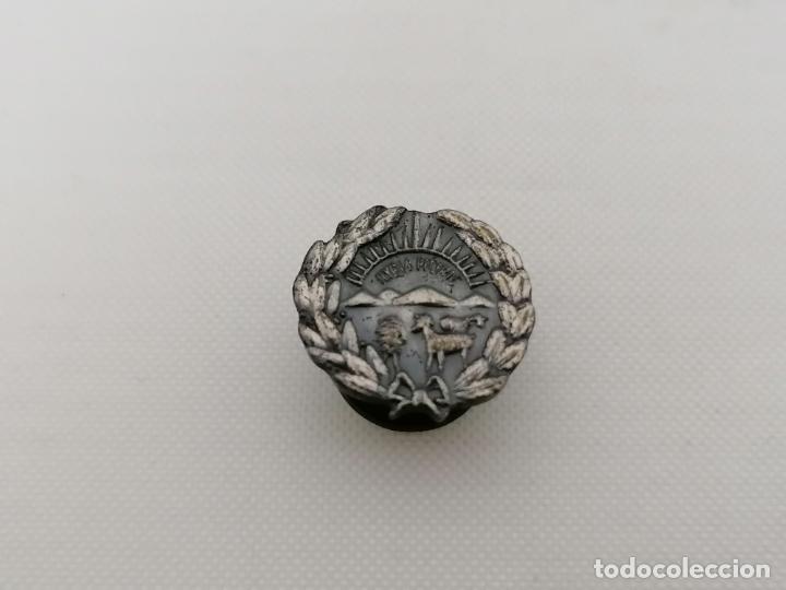Pins de colecci&oacute;n: PINS DE BOTON, HYGIA PECORIS, ASOCIACION NACIONAL DE VETERINARIOS