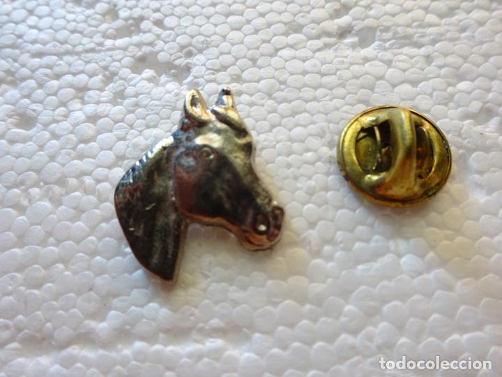 Sammlung von Pins: PIN DE NATURALEZA ANIMALES. CABALLO