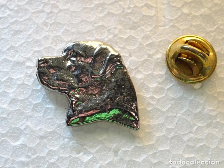 Sammlung von Pins: PIN DE NATURALEZA ANIMALES. PERRO. CABEZA. CALIDAD
