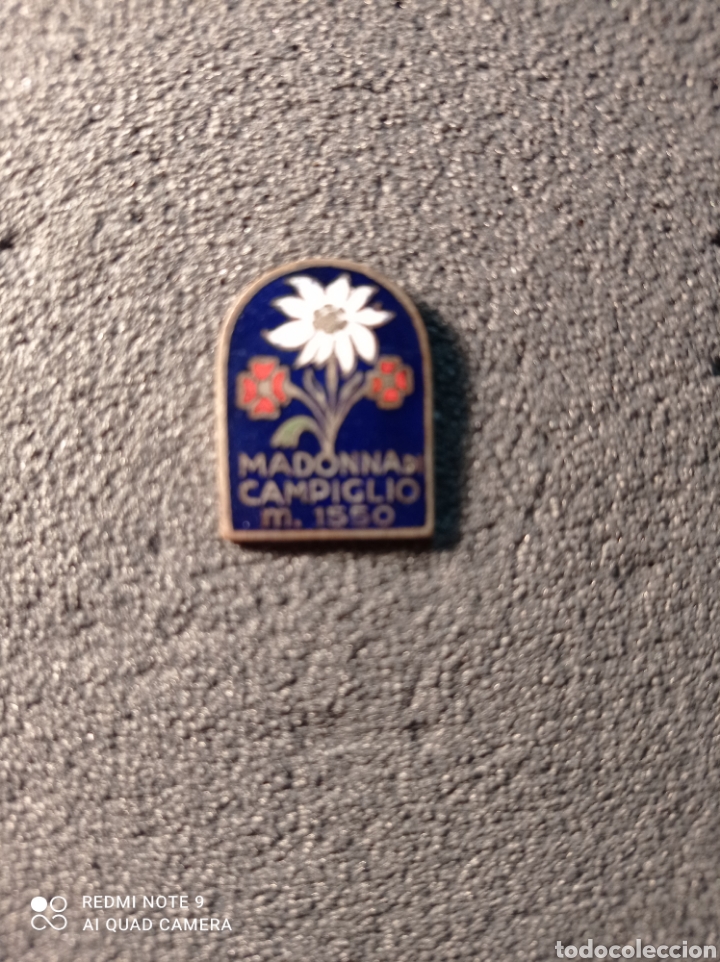 Collection pins: Pin tur&iacute;stico MADONNA DI CAMPIGLIO - Italia