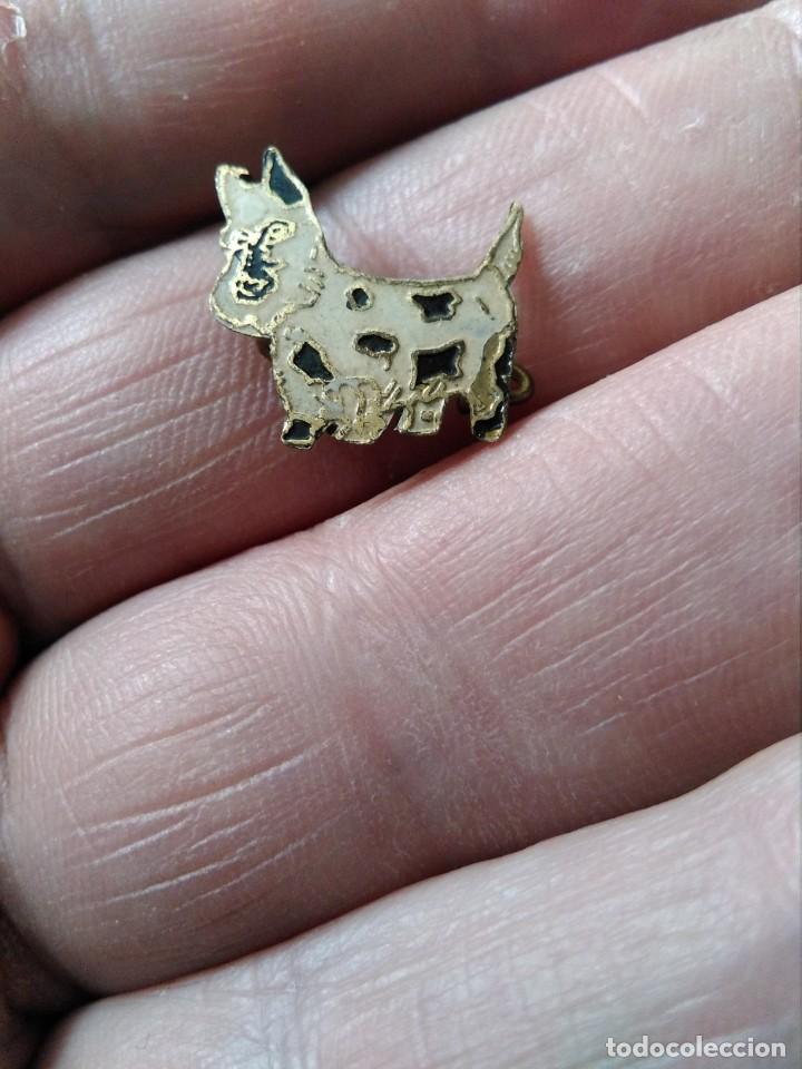 Pins de colecci&oacute;n: Insignia antigua dibujos animados , perrito