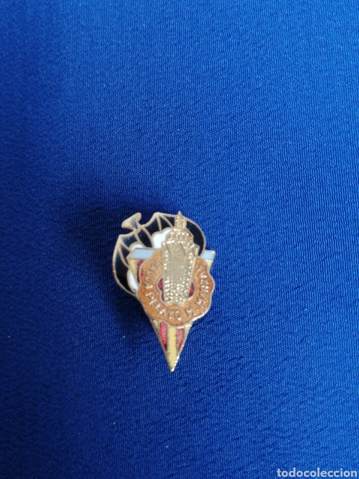 Sammlung von Pins: FALLA PELAYO MATEM&Aacute;TICO MARZAL