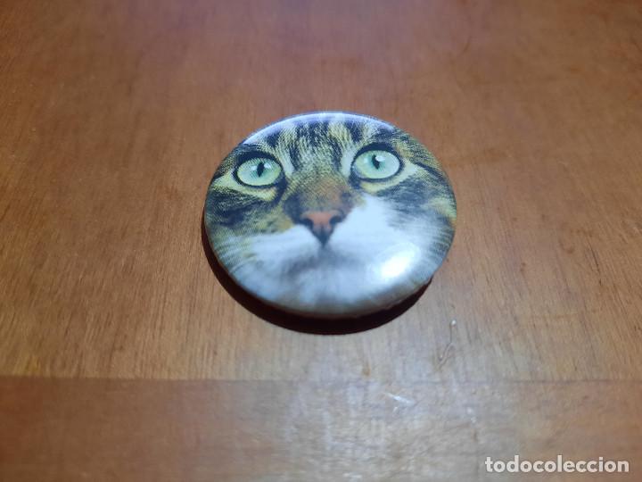 Pins de colecci&oacute;n: GATO MIRADA III. CHAPA PIN. 0,311 M. DI&Aacute;METRO. DETR&Aacute;S MET&Aacute;LICA. BUEN ESTADO. DIFICIL