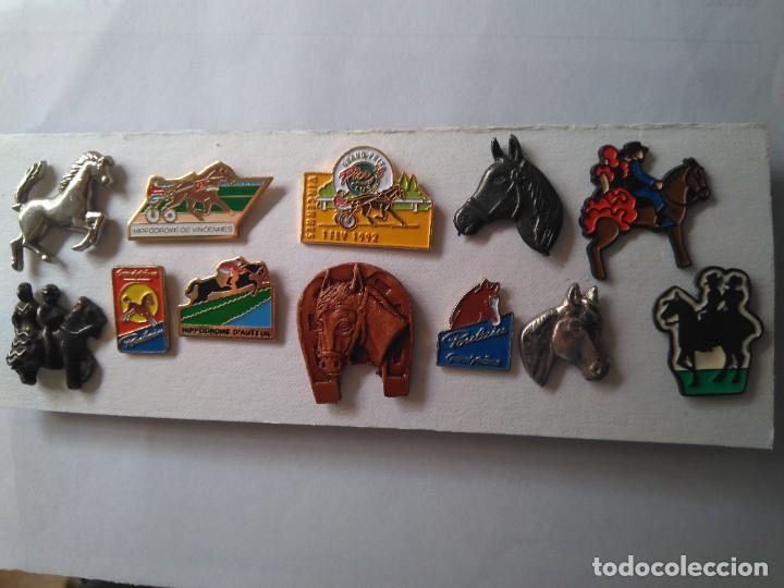 Pins de colecci&oacute;n: LOTE 12 PINS DE CABALLOS - Foto 1
