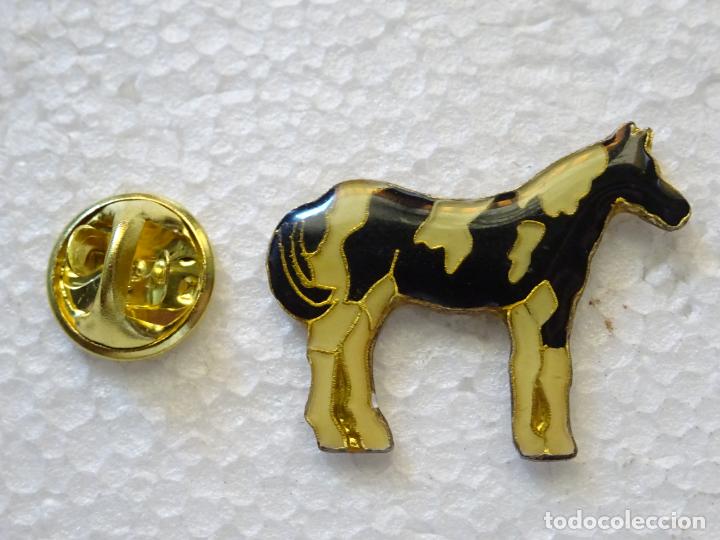 Collection pins: PIN DE ANIMALES. CABALLO BLANCO NEGRO