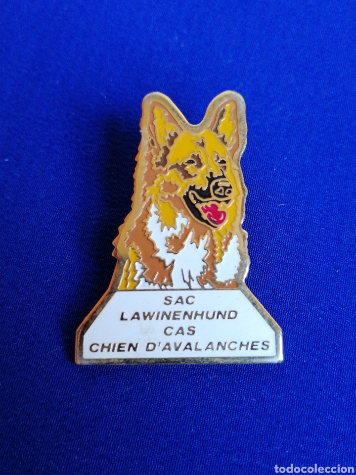Pin's de collection: PIN PERRO RESCATADOR DE AVALANCHAS (PIN. NUMERADO)