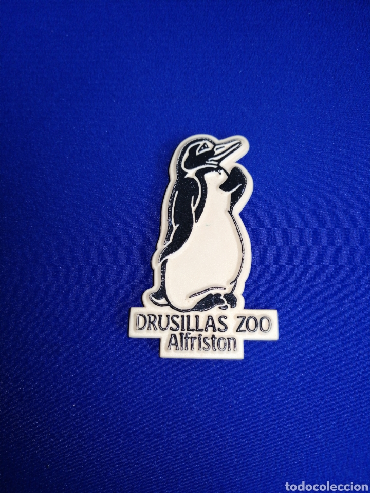 Sammlung von Pins: ZOO DRUSILLAS ALFRISTON PIN DE ALFILER