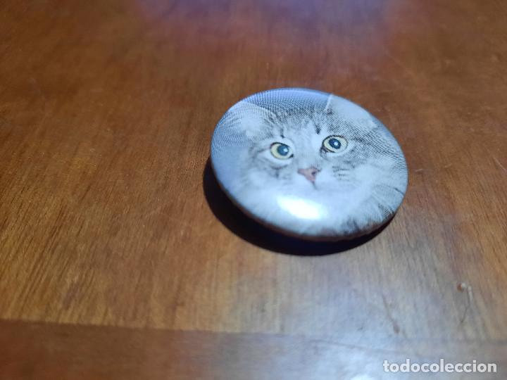 Sammlung von Pins: GATO GRIS CLARO. FOTO. CHAPA. PIN. 0,31 MM. DE DI&Aacute;METRO. ATR&Aacute;S METALICA. SIN USO. DIFICIL.