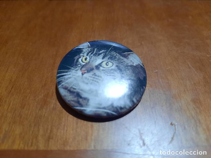 Pins de colecci&oacute;n: GATO MARR&Oacute;N III. FOTO. CHAPA. PIN. 0,31 MM. DE DI&Aacute;METRO. ATR&Aacute;S METALICA. SIN USO. DIFICIL.