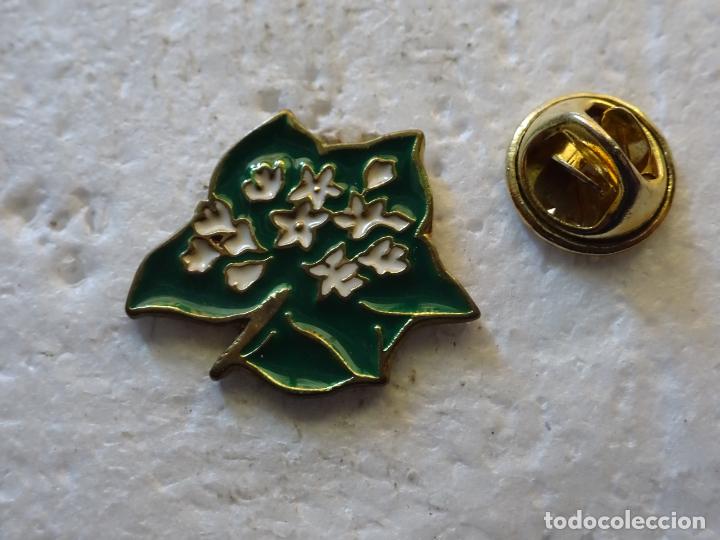 Sammlung von Pins: PIN DE NATURALEZA ECOLOG&Iacute;A. PLANTA HOJA